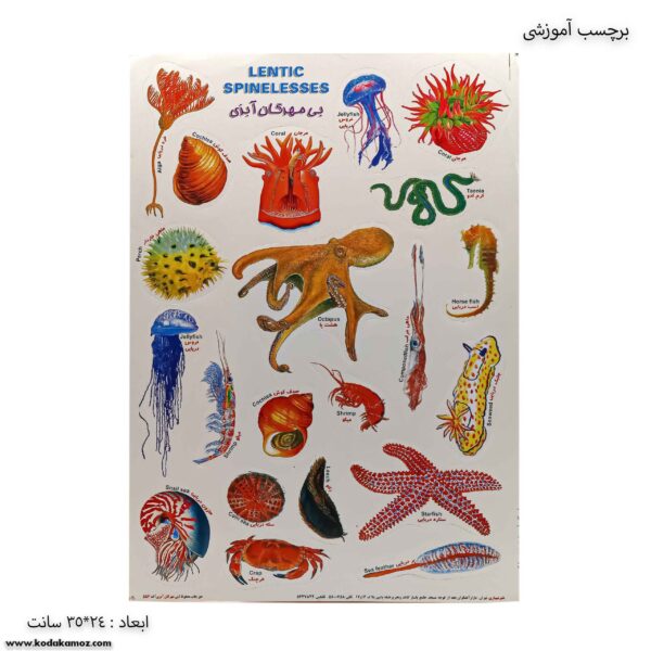 برچسب آموزشی بی مهرگان آبزی