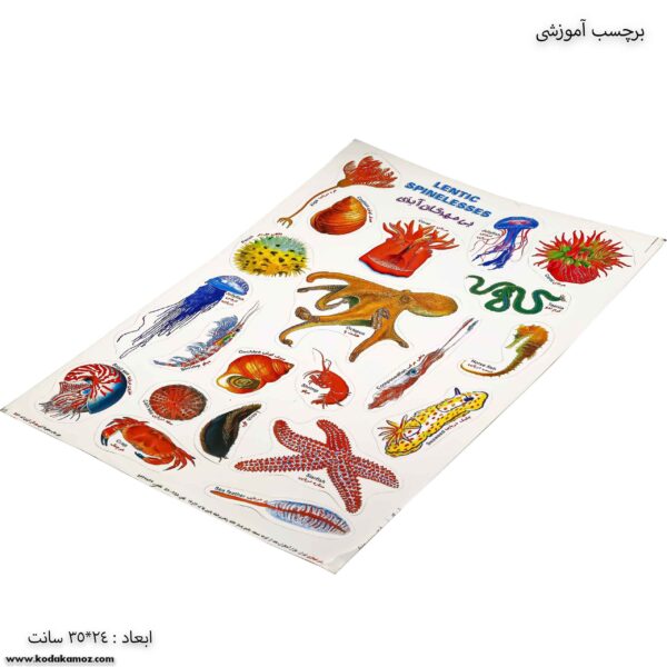 برچسب آموزشی بی مهرگان آبزی کج