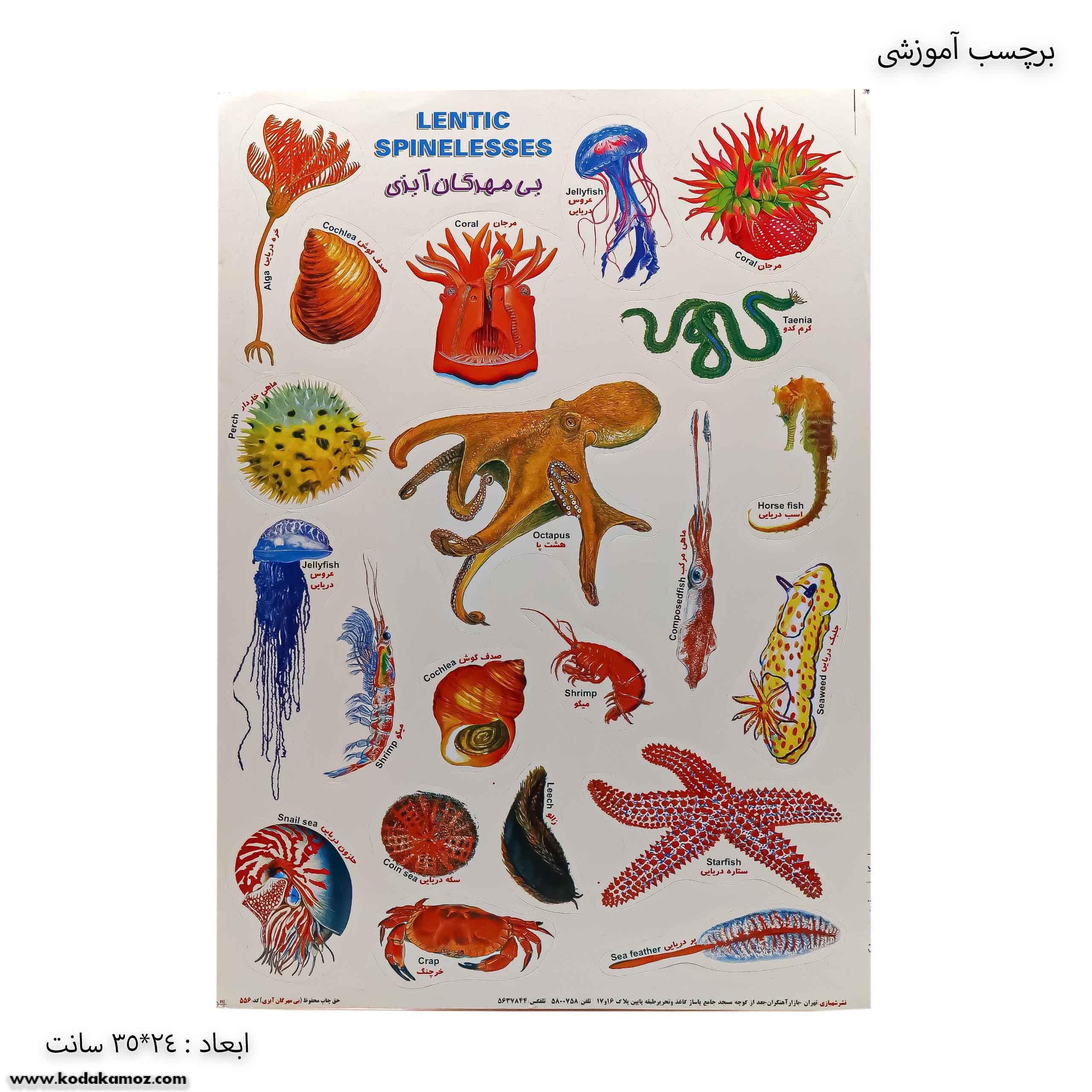 برچسب آموزشی بی مهرگان آبزی برچسب آموزشی بی مهرگان آبزی