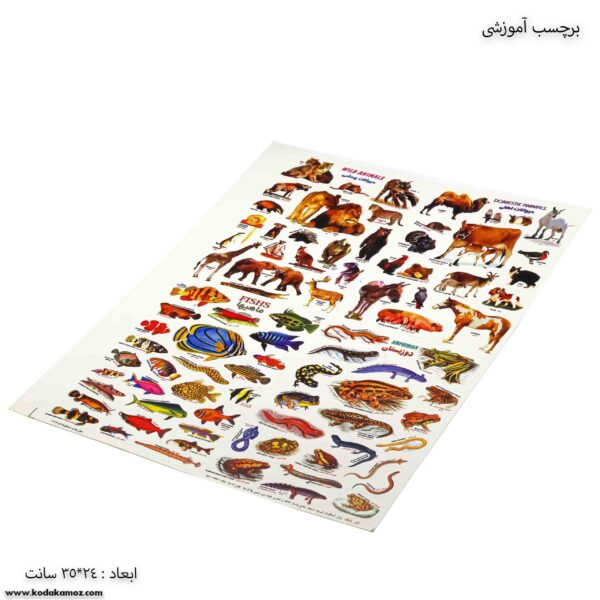 برچسب آموزشی تمام حیوانات کج