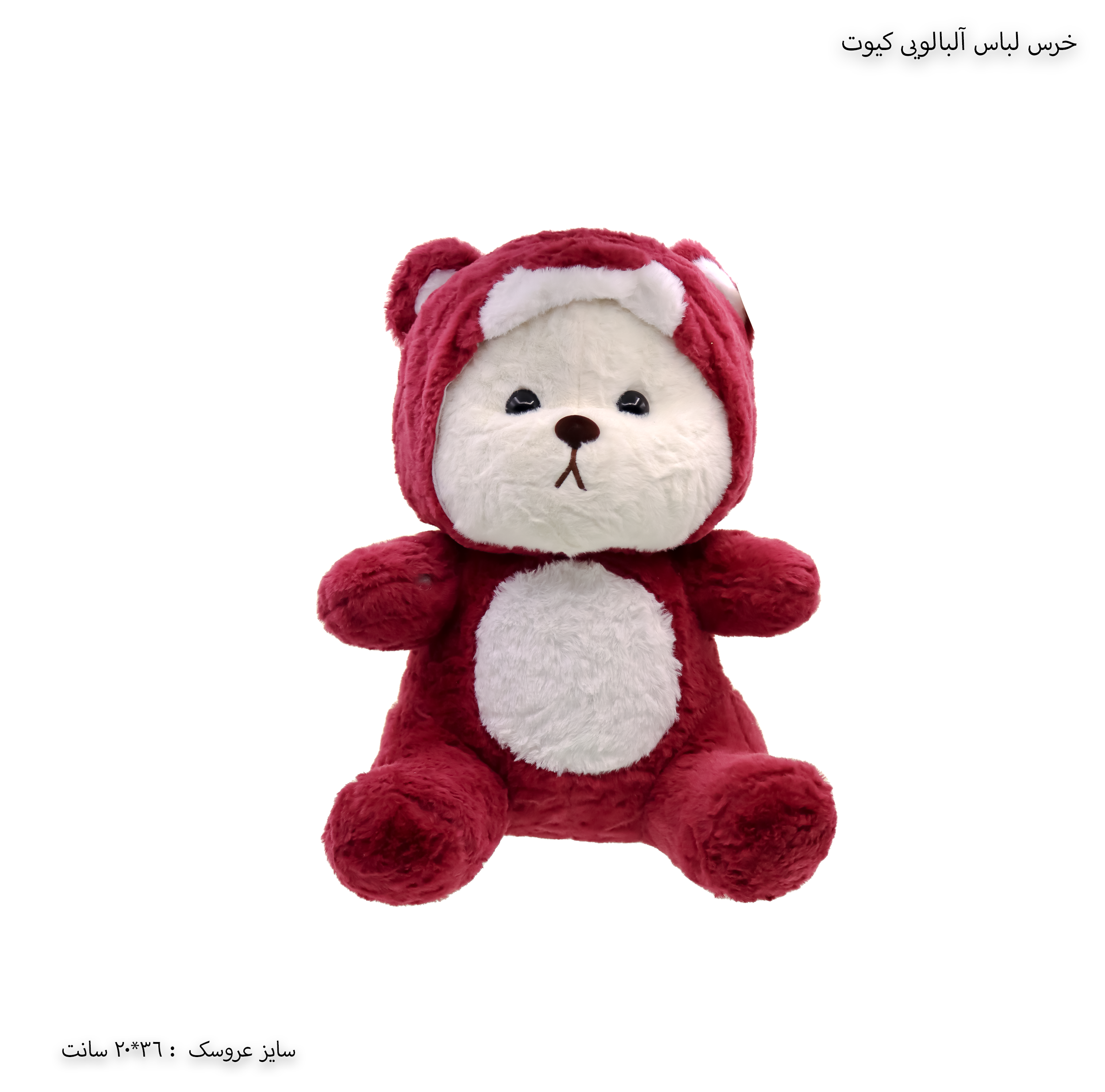 خرس لباس دار کیوت خرس لباس دار کیوت