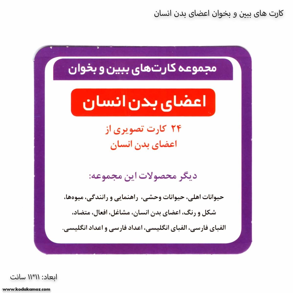 کارت های ببین و بخوان اعضای بدن انسان 2