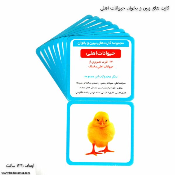 کارت های ببین و بخوان حیوانات اهلی 1