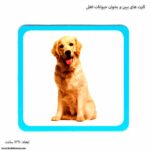 کارت های ببین و بخوان حیوانات اهلی 5