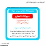 کارت های ببین و بخوان حیوانات اهلی 7