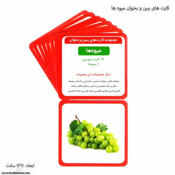کارت های ببین و بخوان میوه ها 1
