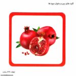 کارت های ببین و بخوان میوه ها 3