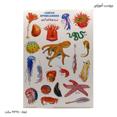 برچسب آموزشی بی مهرگان آبزی