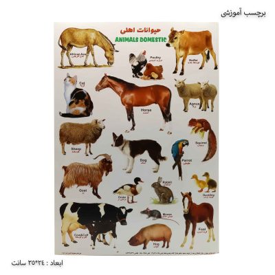 برچسب آموزشی حیوانات اهلی