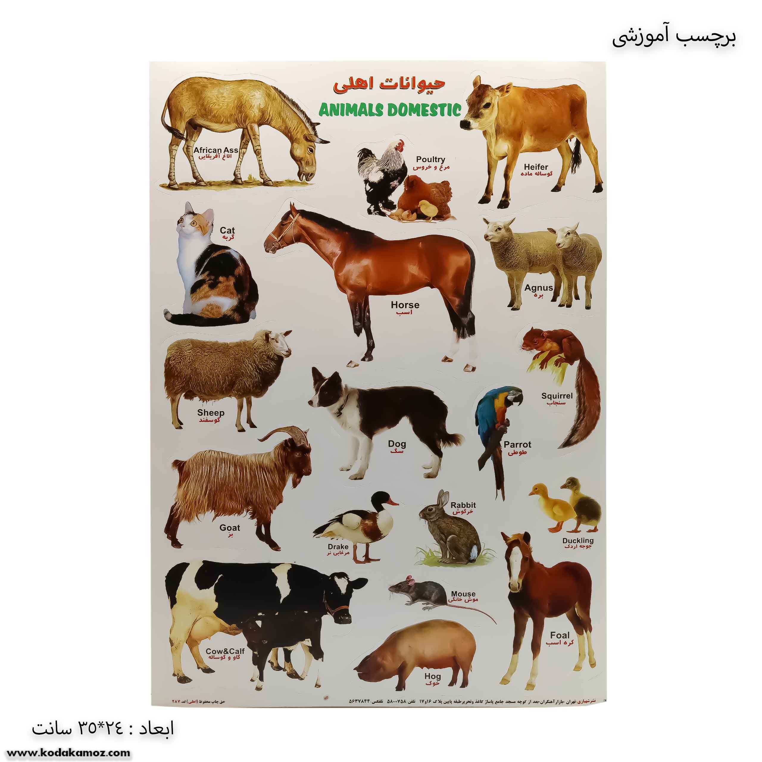 برچسب آموزشی حیوانات اهلی برچسب آموزشی حیوانات اهلی