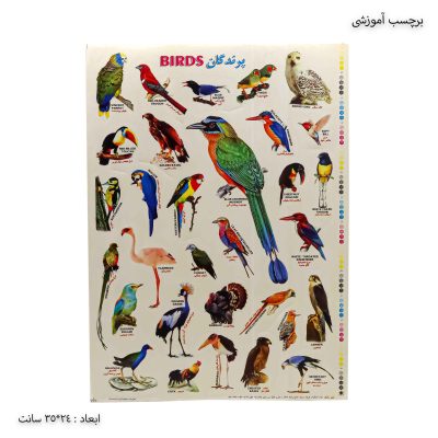 برچسب آموزشی پرندگان