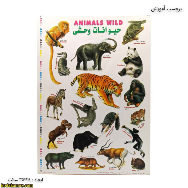 برچسب آموزشی حیوانات وحشی 2