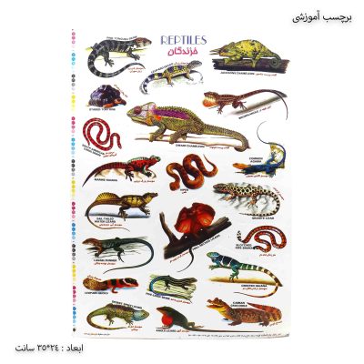 برچسب آموزشی خزندگان