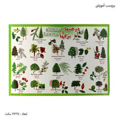 برچسب آموزشی درخت ها و برگ ها