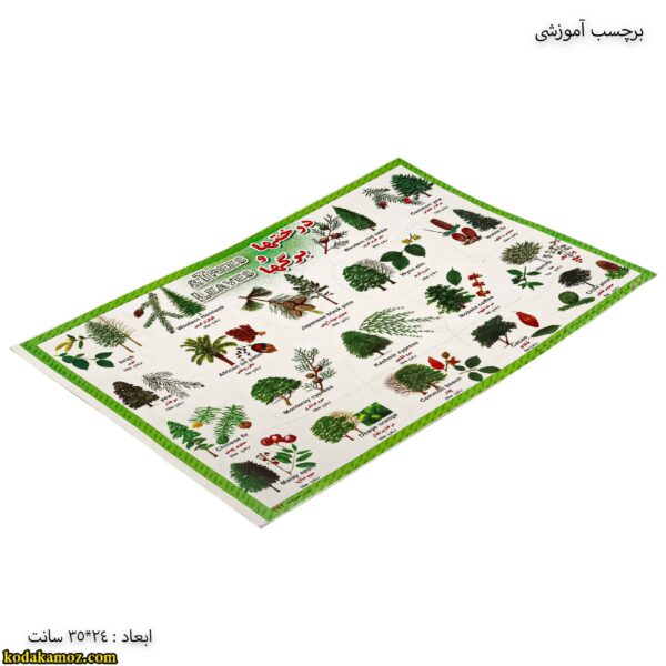 برچسب آموزشی درخت ها و برگ ها کج