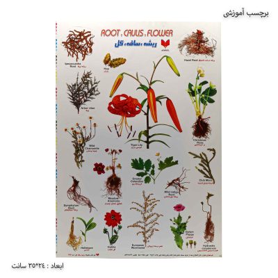 برچسب آموزشی ریشه ، ساقه ، گل