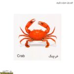 حشرات و آبزیان 6