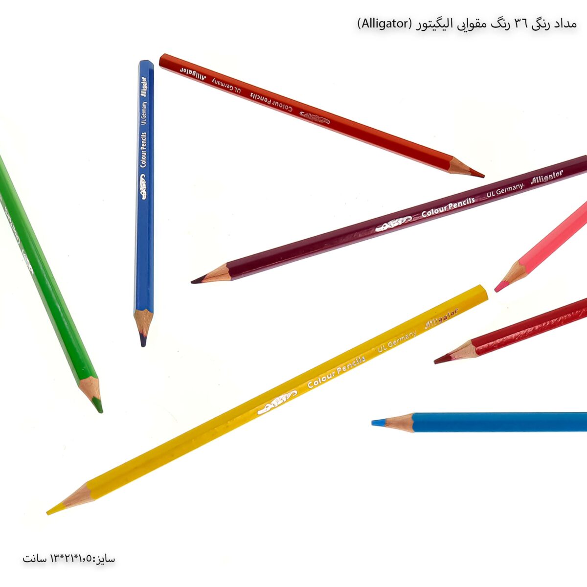 مداد رنگی 36 رنگ مقوایی الیگیتور (Alligator) - 7
