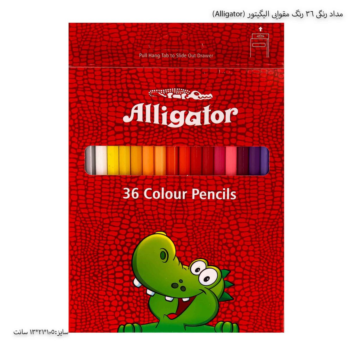 مداد رنگی 36 رنگ مقوایی الیگیتور (Alligator)