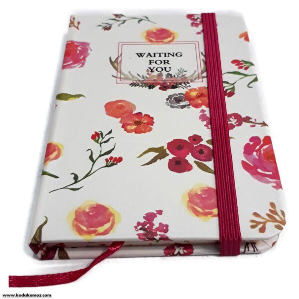 یادداشت 3781 کشدار کوچک