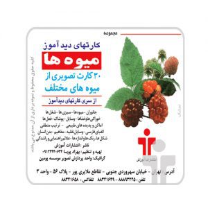 کارت دید آموز میوه ها