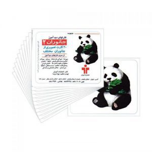 کارت دیدآموز